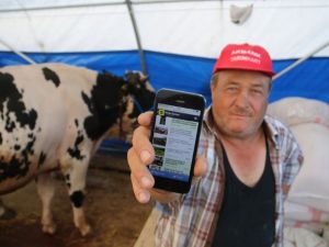 Kurbanlıklar artık internette !