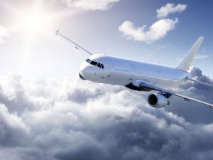 Pilottan kuleye ’leylek’ uyarısı