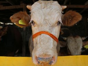 Bayram tatili kaç gün olacak ?