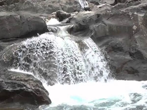 TEMA'dan Sümer uyarısı!