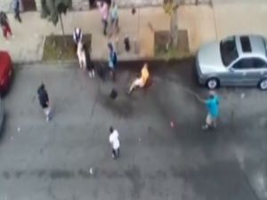 Pitbull dehşeti kamerada