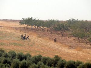 IŞİD ile ÖSO arasındaki çatışmalar arttı