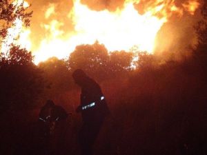 Hatay’da orman yangını