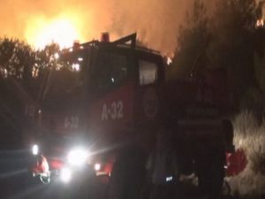 Hatay’daki yangın kontrol altına alındı