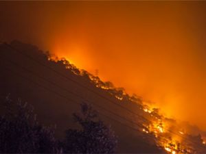 Orman yangınında 3 hektarlık alan küle döndü!