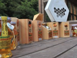 Rize'de bu balın kilosu 750 TL