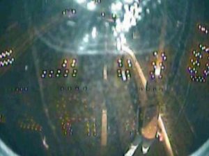 Söke'de Türk Bayrağına Çirkin Saldırı