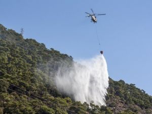 Edremit Kazdağı’nda Orman Yangını: 5 Hektar Alan Kül Oldu