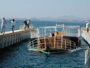 Ege’de göçmen faciası: 22 ölü