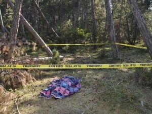 Eşinin kestiği ağacın altında kalan hamile kadın öldü