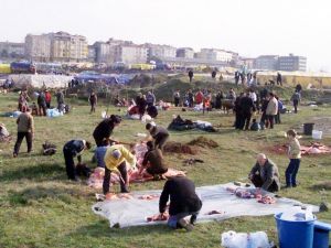 Bu manzaranın cezası 186 TL