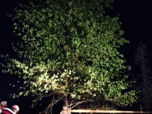 EXPO 2016’nın Transplantasyon Gururu