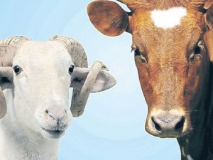 Kurban bayramı ne zaman başlıyor - Hangi gün bayram