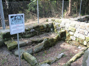 D.Karadeniz'in tek adasında bizans kalıntıları ilgi çekiyor!