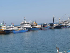 Trabzon'da balık sezonu ne güldürdü ne ağlattı
