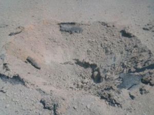 Valilikten patlama açıklaması