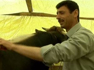 Kurbanlıkları türkü söyleyerek yetiştiriyor