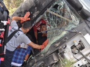 TIR’da can pazarı!