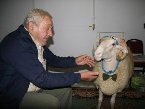 Beraber yatıp kalktığı koçunu satışa çıkardı