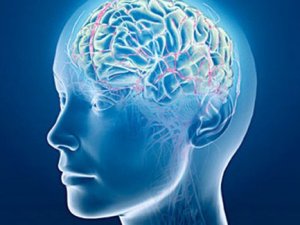 Çinli yazar beynini dondurttu