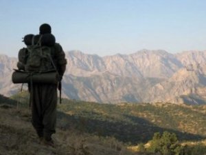 Şırnak'ta 9 terörist teslim oldu