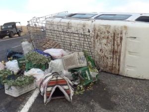 Minibüs devrildi: 21 yaralı