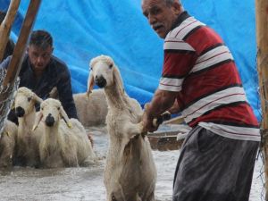 Su baskınından böyle kurtarıldılar