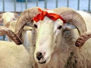 Bakanlık uyardı: 1002 TL cezası var!