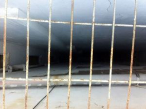 Yeni Zelandalı dansçı buradan düşmüş