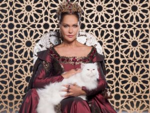 Hülya Avşar'dan 60 bin TL'lik kapris!