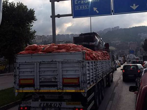 Trabzon'daki bu görüntü şaşırttı!