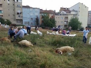 Yasağa rağmen manzara değişmedi