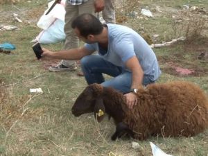 İstanbul’dan kurban manzaraları