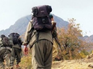 PKK'ya ağır darbe! O teröristler yakalandı!