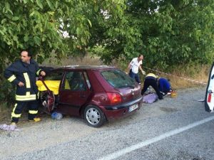 Ağaca çarparak durdu: 3 ölü, 5 yaralı