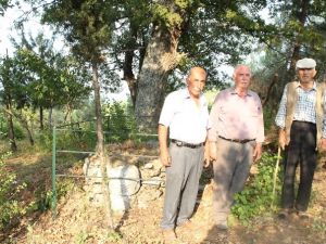 Şehitlerin naaşları sapasağlam !