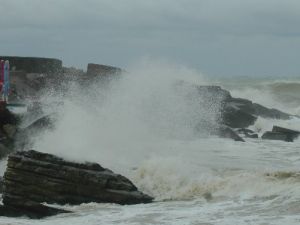 Düzce’de fırtına etkili oldu
