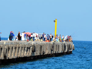 Amatör Balıkçılar profesyonelleri aratmıyor