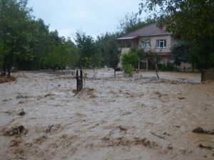 Sapanca sular altında