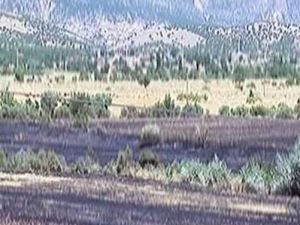 9 bölgeye giriş-çıkış yasaklandı