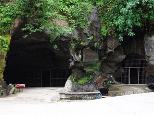Rize'de ilginç görüntü! Mağara yolunda...