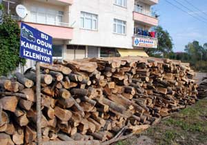 Karadenizlinin pratik zekası