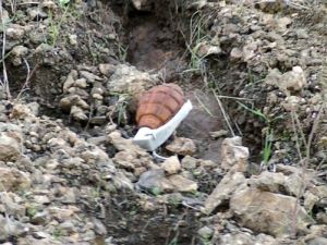 Tam 96 adet el bombası yakalandı