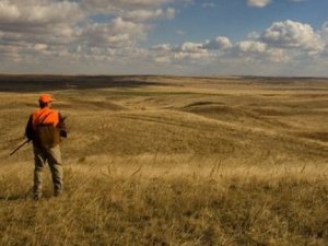 Kayıp avcı karınca yiyerek hayatta kaldı