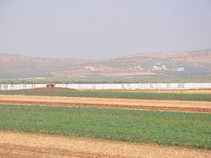 Sınıra Türk seddi !