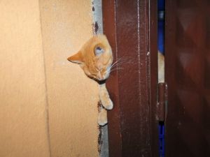 İmdadına itfaiye yetişti