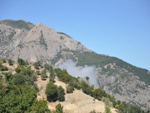 Terör örgütüne bir darbe de Tunceli’de