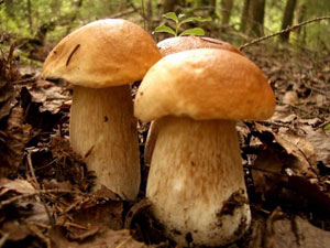 Mantara dikkat: Bu belirtiler varsa!