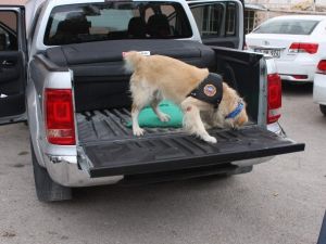 Tam 45 kilo eroini o yakaladı !