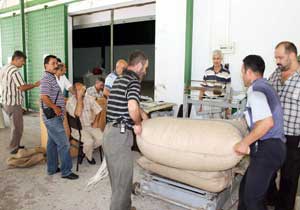 TMO 117 bin ton fındık aldı